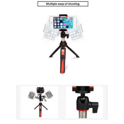 Benro 3 in 1 Selfie Stick tripod with bluetooth controller